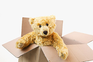 Teddy bear in a box